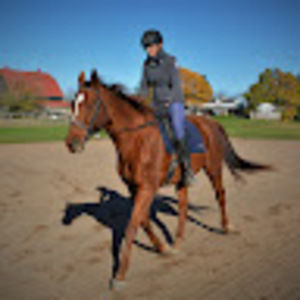 Meet your Posher, Redloui